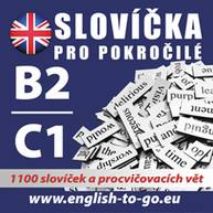 singular_bupabooks Angličtina – Slovíčka pro pokročilé B2/C1 - kolektiv autorů