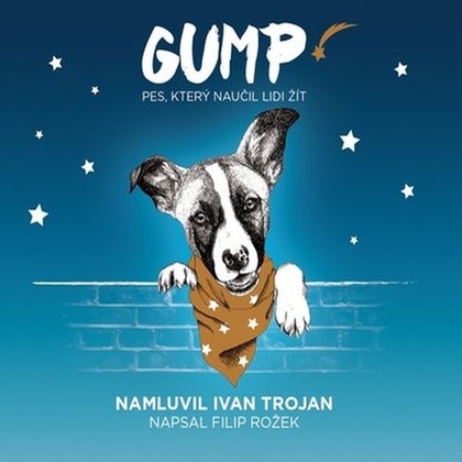 Audiokniha Gump - Ivan Trojan, Filip Rožek
