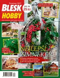 Časopis BLESK HOBBY - 12/17 - CZECH NEWS CENTER a. s.