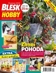 Časopis BLESK HOBBY - 12/2019 - CZECH NEWS CENTER a. s.