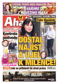 Deník Aha! - 29.4.2021 - CZECH NEWS CENTER a. s.