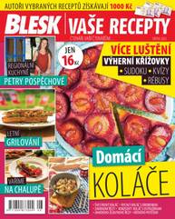 Časopis BLESK VAŠE RECEPTY - 8/2023 - CZECH NEWS CENTER a. s.