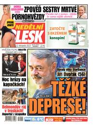 Časopis NEDĚLNÍ BLESK - 45/2023 - CZECH NEWS CENTER a. s.