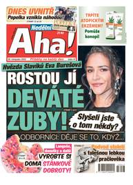 Časopis Nedělní Aha! - 47/2023 - CZECH NEWS CENTER a. s.