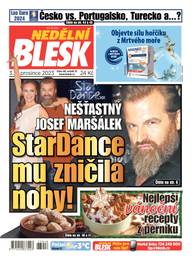 Časopis NEDĚLNÍ BLESK - 48/2023 - CZECH NEWS CENTER a. s.