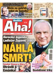 Časopis Nedělní Aha! - 49/2023 - CZECH NEWS CENTER a. s.