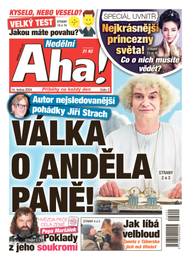 Časopis Nedělní Aha! - 2/2024 - CZECH NEWS CENTER a. s.