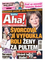 Časopis Nedělní Aha! - 3/2024 - CZECH NEWS CENTER a. s.