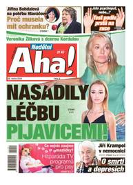 Časopis Nedělní Aha! - 4/2024 - CZECH NEWS CENTER a. s.