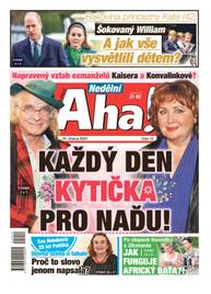 Časopis Nedělní Aha! - 12/2024 - CZECH NEWS CENTER a. s.