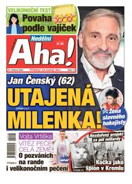 Časopis Nedělní Aha! - 13/2024 - CZECH NEWS CENTER a. s.
