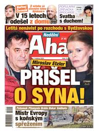Časopis Nedělní Aha! - 14/2024 - CZECH NEWS CENTER a. s.