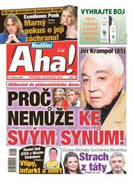 Časopis Nedělní Aha! - 15/2024 - CZECH NEWS CENTER a. s.