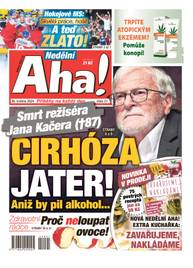 Časopis Nedělní Aha! - 21/2024 - CZECH NEWS CENTER a. s.