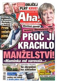 Deník Aha! - 29.6.2024 - CZECH NEWS CENTER a. s.