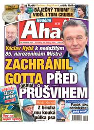 Časopis Nedělní Aha! - 28/2024 - CZECH NEWS CENTER a. s.
