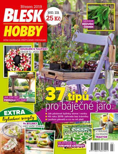 E-magazín BLESK HOBBY - 3/2019 - CZECH NEWS CENTER a. s.