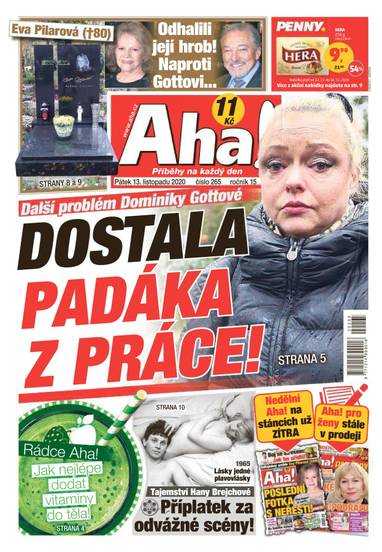 E-magazín Aha! - 13.11.2020 - CZECH NEWS CENTER a. s.