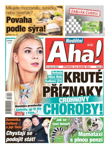 E-magazín Nedělní Aha! - 22/2023 - CZECH NEWS CENTER a. s.