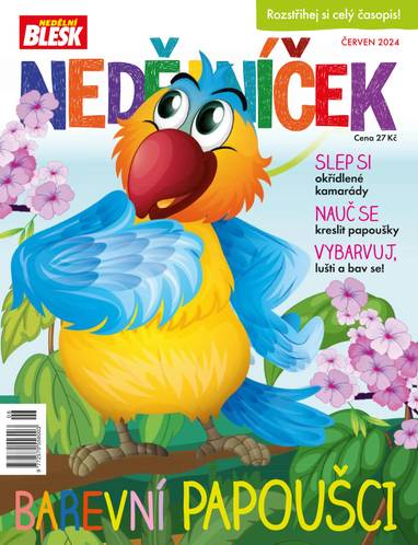 E-magazín NEDĚLNÍČEK - 6/2024 - CZECH NEWS CENTER a. s.