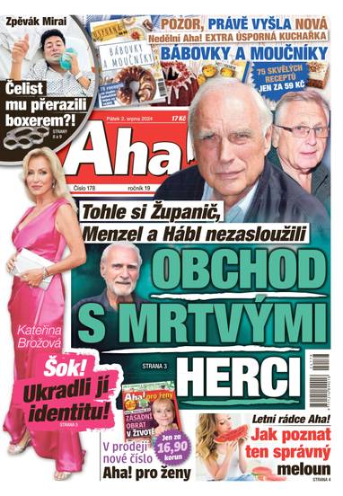 E-magazín Aha! - 2.8.2024 - CZECH NEWS CENTER a. s.