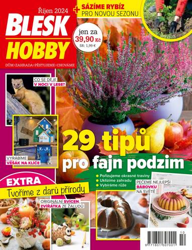 E-magazín BLESK HOBBY - 10/2024 - CZECH NEWS CENTER a. s.