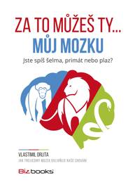 E-kniha Za to můžeš ty... můj mozku - Vlastimil Orlita