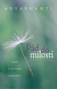 E-kniha Pád do milosti - Adyashanti