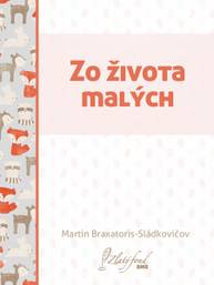 E-kniha Zo života malých - Martin Braxatoris-Sládkovičov