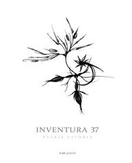 E-kniha Inventura 37 - Patrik Satoria