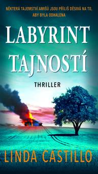 E-kniha Labyrint tajností - Linda Castillo