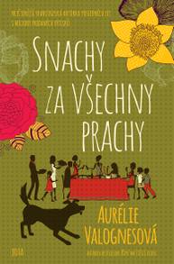 E-kniha Snachy za všechny prachy - Aurélie Valognesová