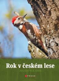 E-kniha Rok v českém lese - kolektiv