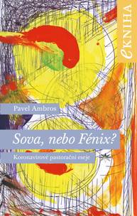 E-kniha Sova, nebo Fénix? - Pavel Ambros