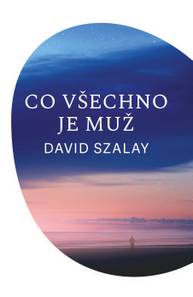 E-kniha Co všechno je muž - David Szalay