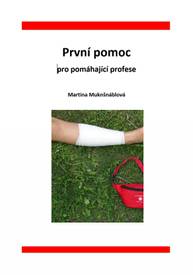 E-kniha První pomoc pro pomáhající profese - PhDr. Martina Muknšnáblová MBA, PhD.