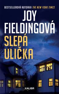 E-kniha Slepá ulička - Joy Fielding