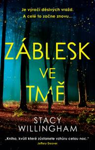 E-kniha Záblesk ve tmě - Stacy Willingham