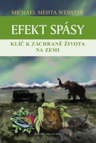 E-kniha Efekt spásy - Michael Mehta Webster