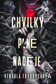 E-kniha Chvilky plné naděje - Vendula Frydrychová