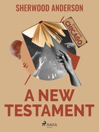 E-kniha A New Testament - Sherwood Anderson