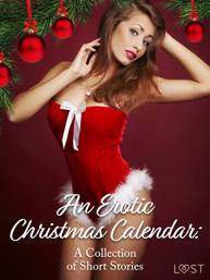 E-kniha An Erotic Christmas Calendar: A Collection of Short Stories - LUST authors