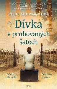 E-kniha Dívka v pruhovaných šatech - Ellie Midwoodová