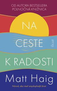 E-kniha Na ceste k radosti - Matt Haig