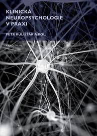 E-kniha Klinická neuropsychologie v praxi - Petr Kulišťák