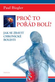 E-kniha Proč to pořád bolí? - Paul Biegler