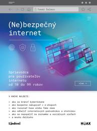 E-kniha (Ne)bezpečný internet - Tomáš Šalmon