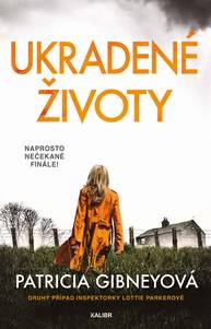 E-kniha Ukradené životy - Patricia Gibneyová