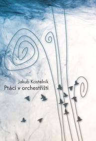 E-kniha Ptáci v orchestřišti - Jakub Kostelník