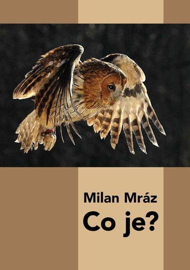 E-kniha Co je? - Milan Mráz